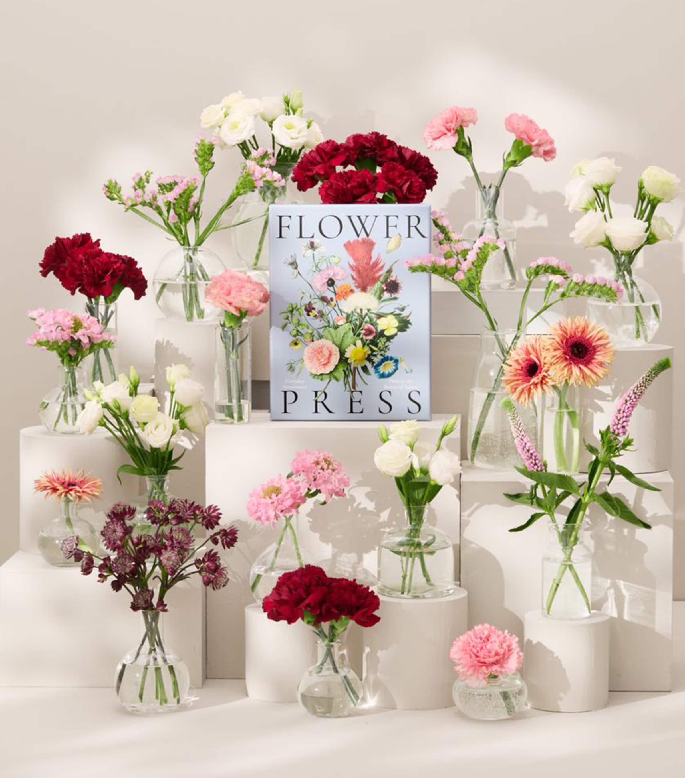 Flower Press Kit BLUE MULTI Image 4