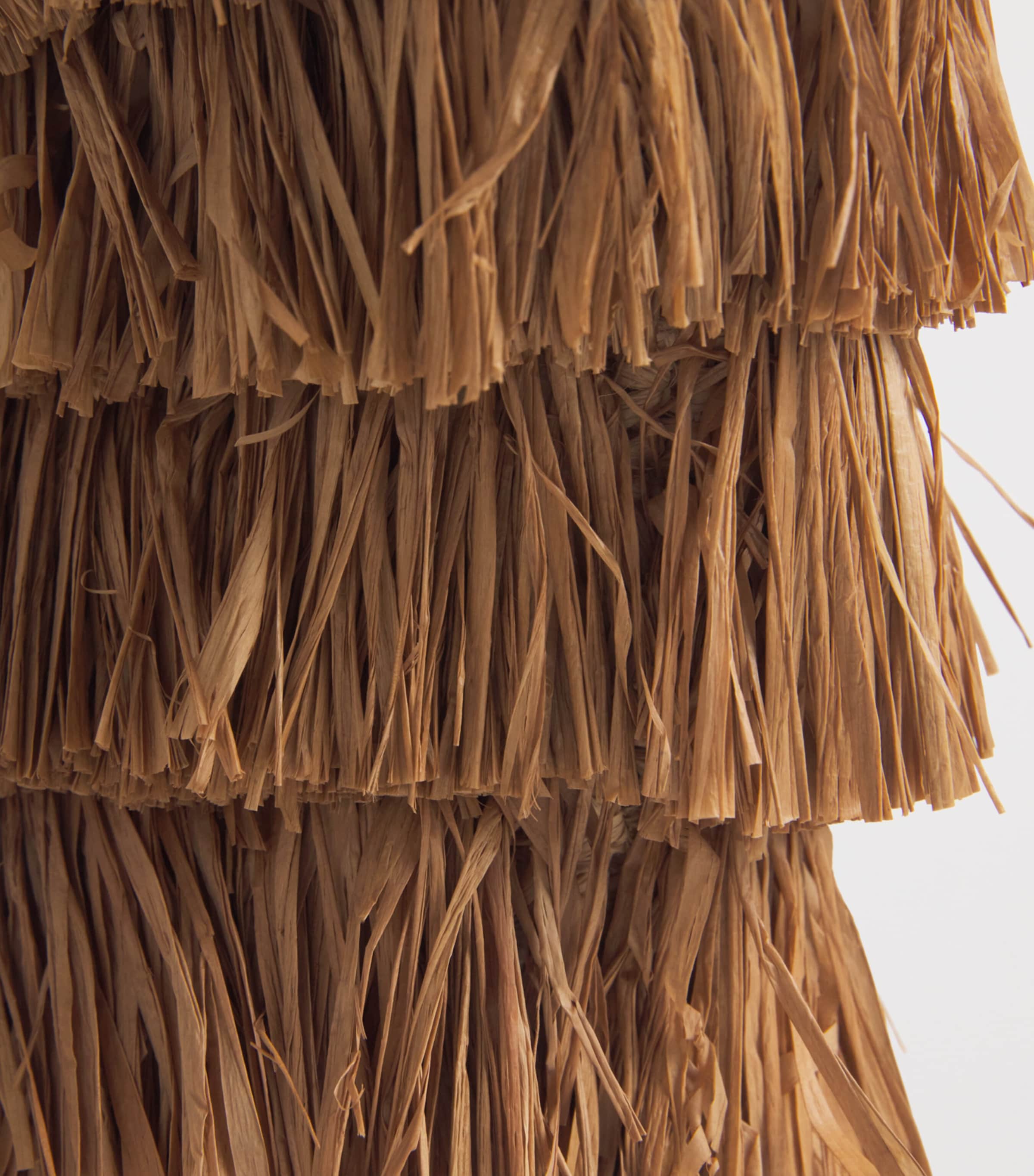 Raffia Fringed Goldentime Tote Bag TAN FRNGE STRIPETFST Image 6