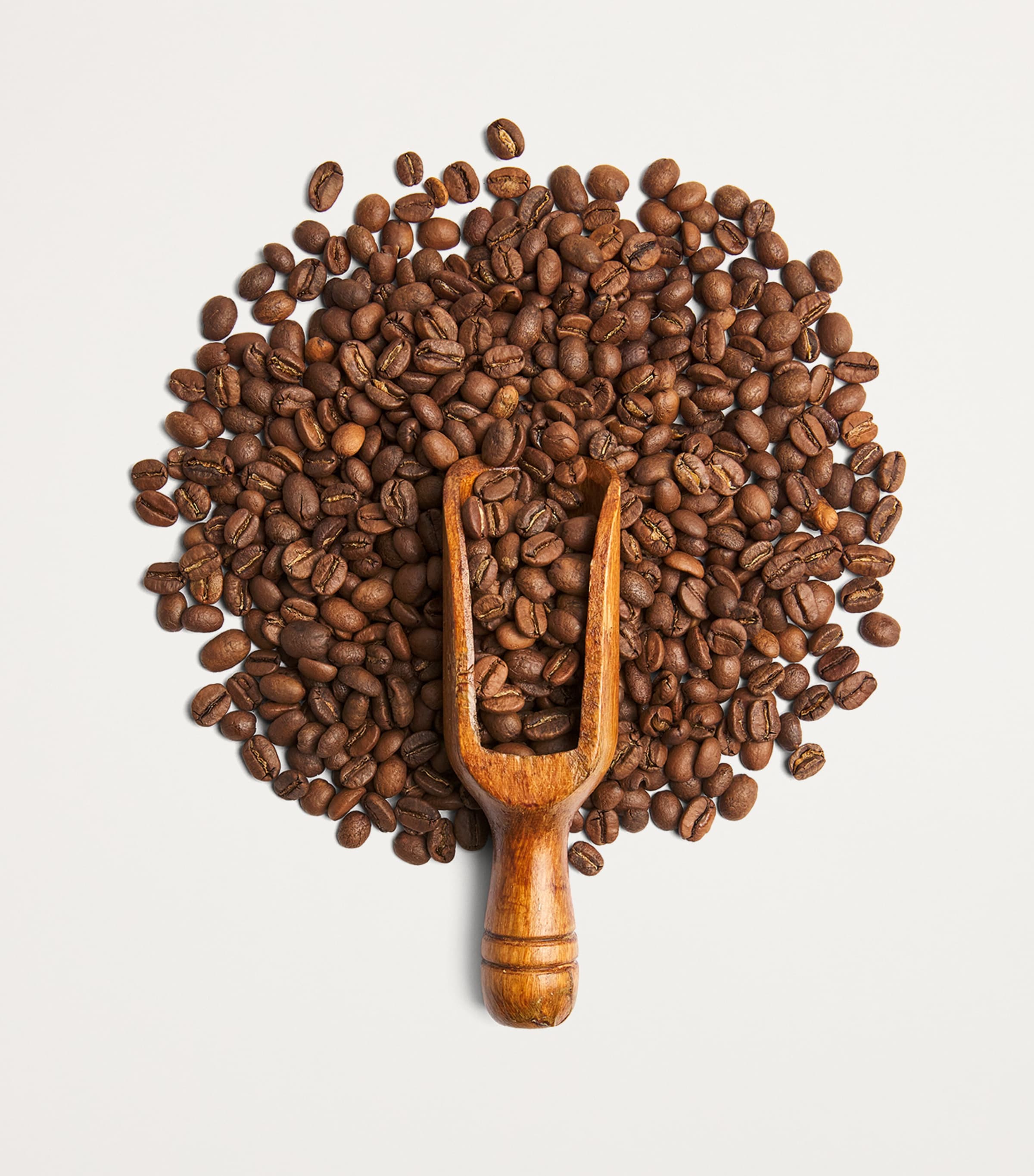 Harrods Brazil Santa Ines Coffee Beans (250g) Image 2