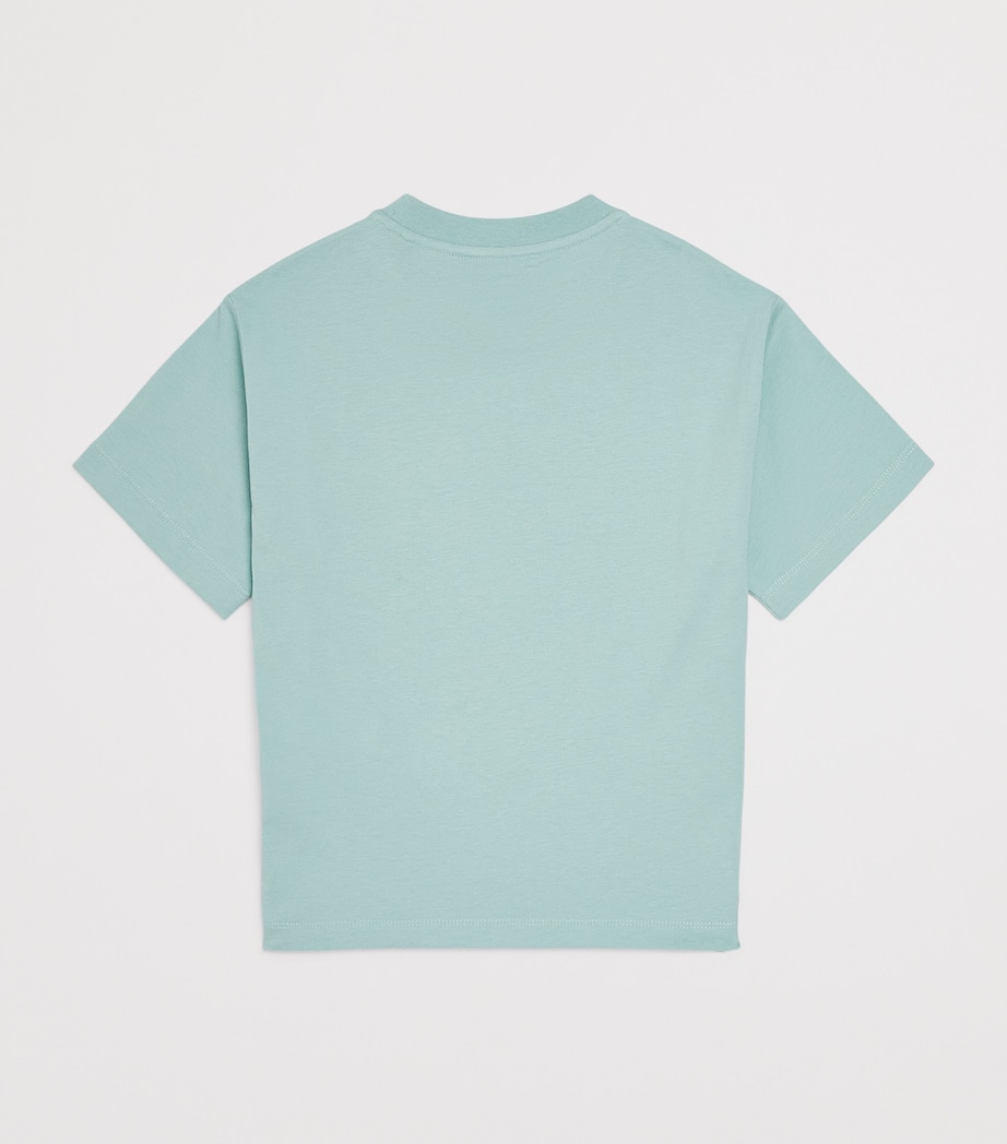 Cotton Logo T-Shirt (4-16 Years) AQUIFER Image 2