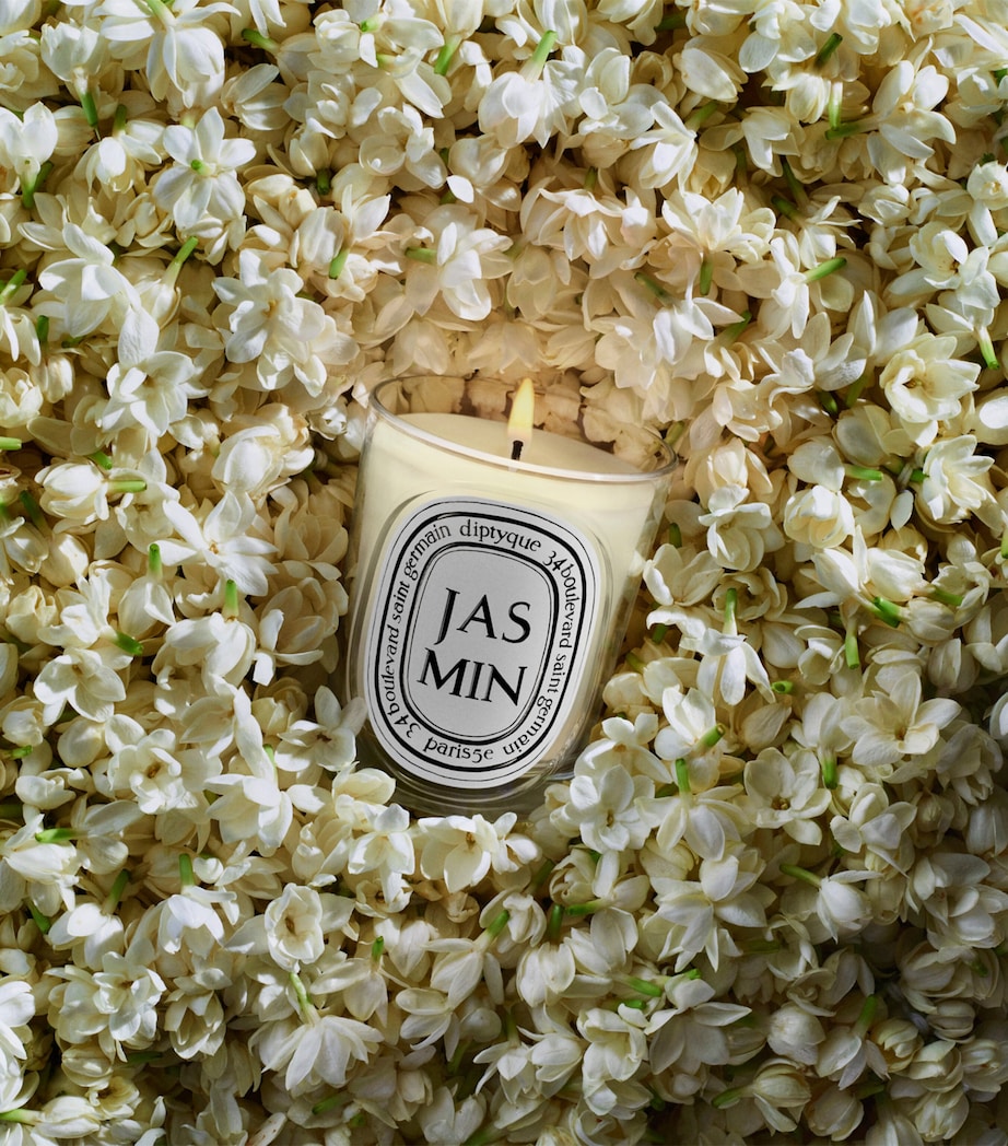 Diptyque Jasmin Candle (190g) Image 3