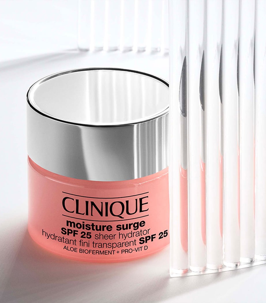 Clinique Hydrate and Protect Skincare Gift Set Image 2