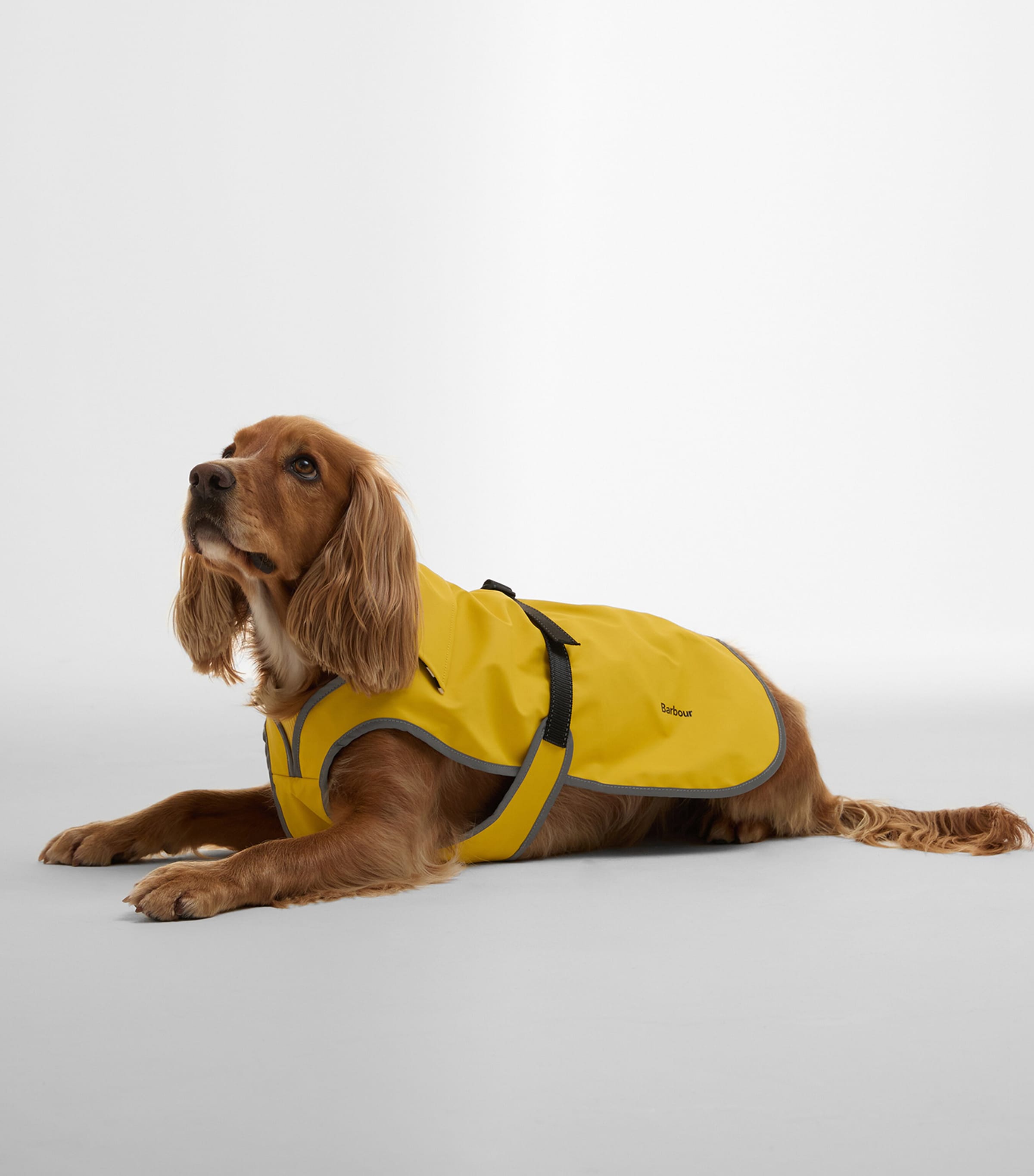 Barbour Waterproof Evie Dog Coat (Large) Yellow Image 2