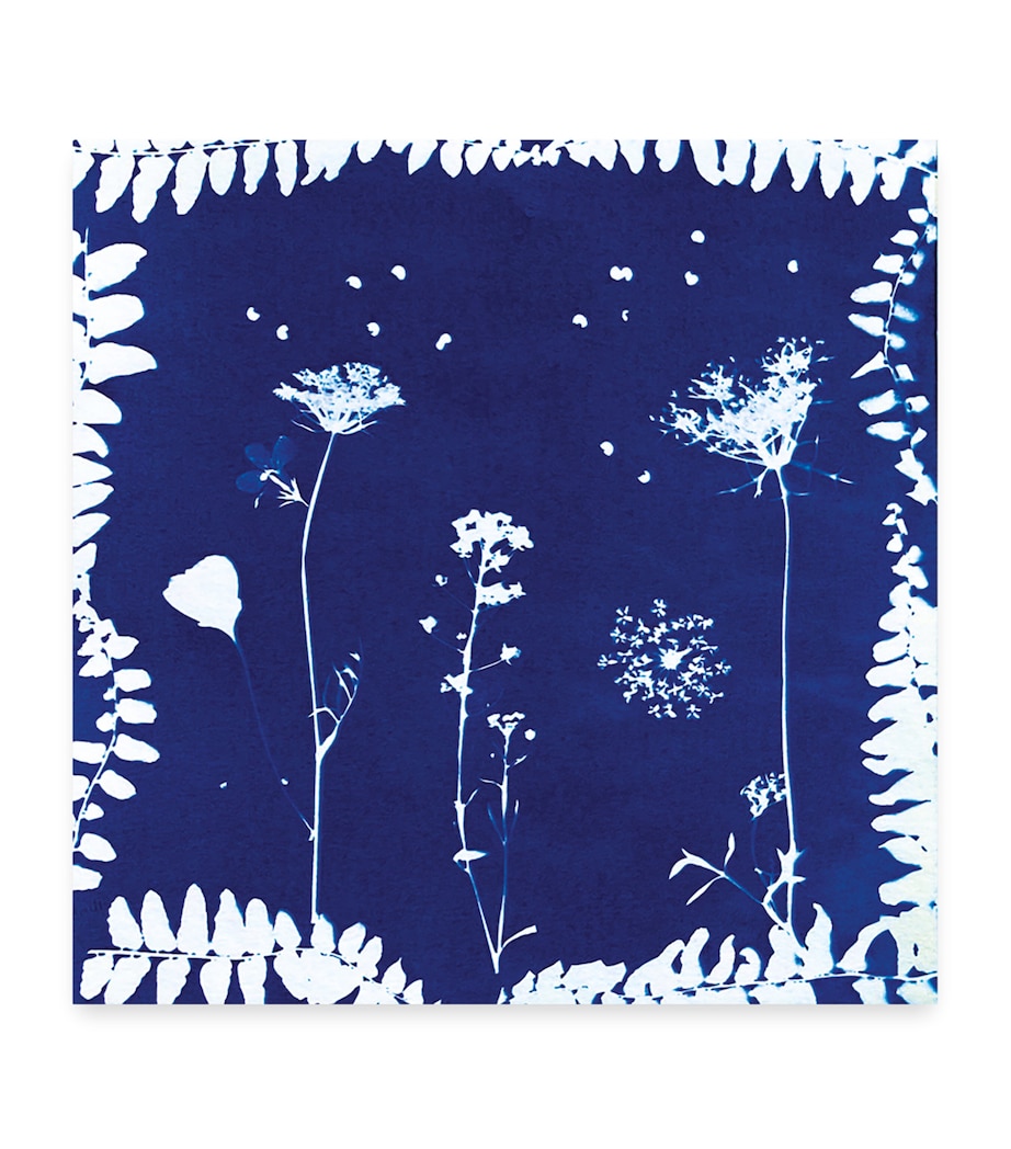 Flower Press Multiactivities Set MULTI Image 6