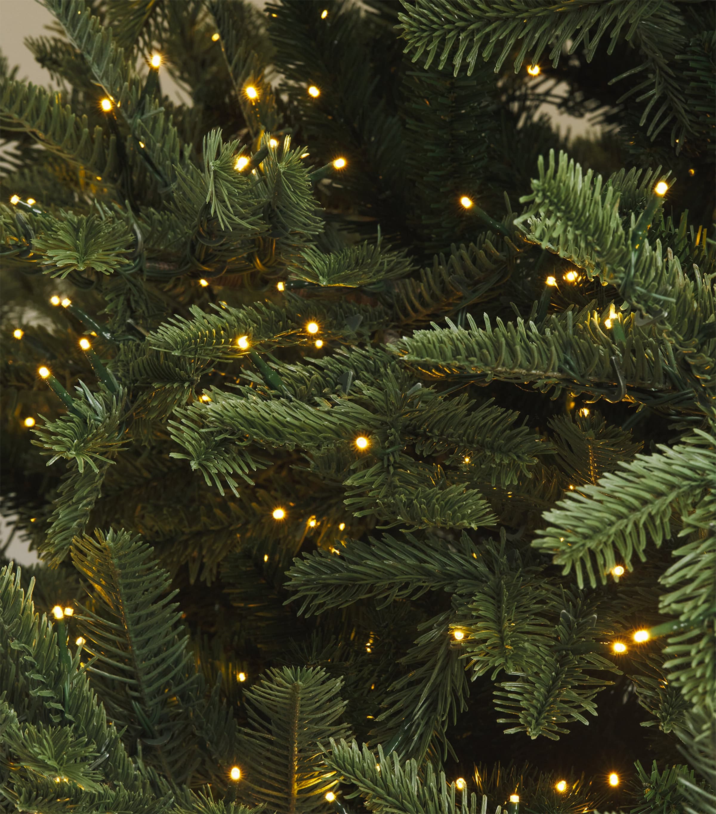 BALSAM HILL Nordmann Fir Ultra Bright Tree (7ft) Green Image 3