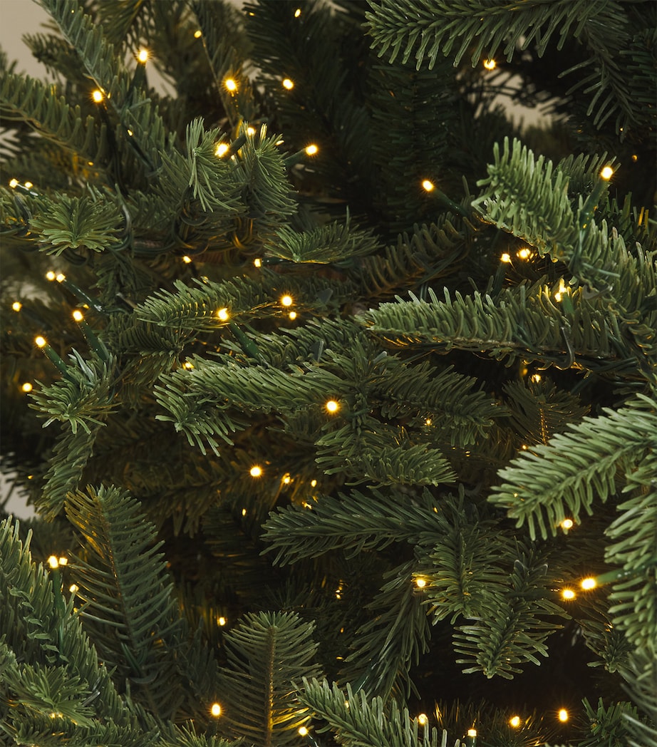 BALSAM HILL Nordmann Fir Ultra Bright Tree (7ft) Green Image 3