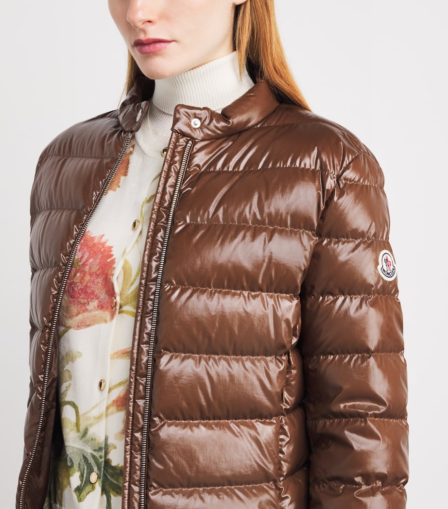 Down Papillon Puffer Jacket 24N Image 6