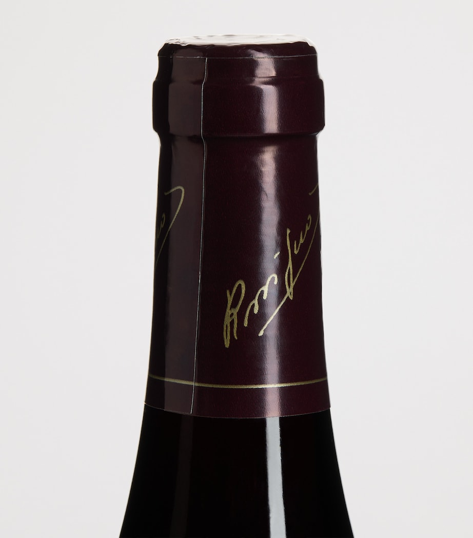 Rossignol Trapet Gevrey-Chambertin Vieilles Vignes 2022 (75cl) - Burgundy, France Image 2