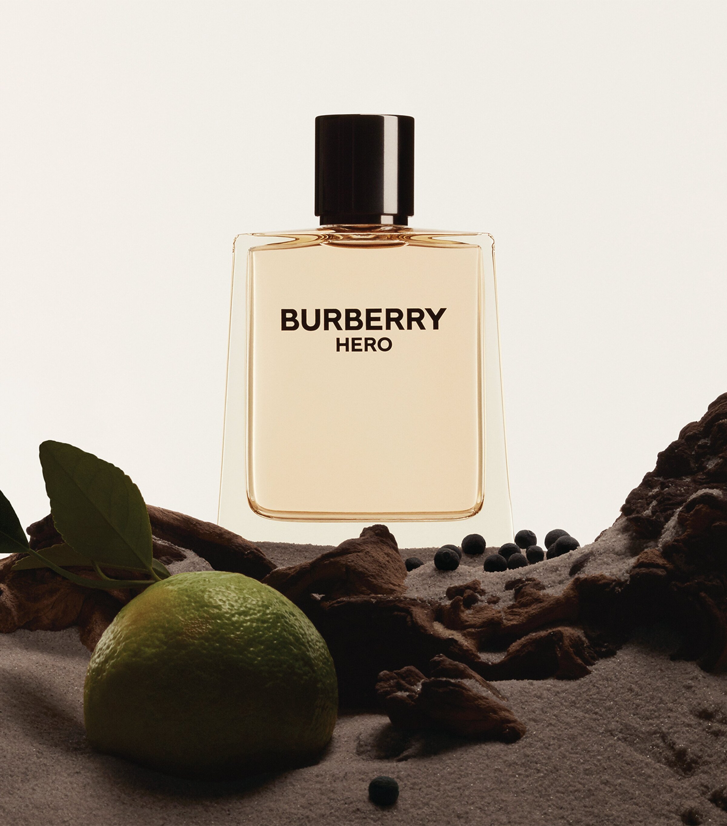 BURBERRY HERO オードパルファム 50ml バーバリー新メンズ香水「ヒーロー オードパルファム」“松葉