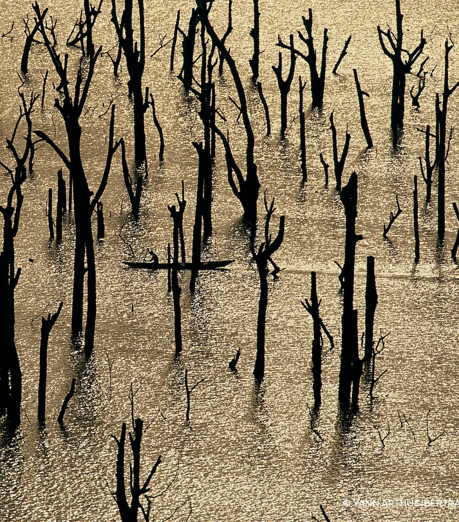 Aqua Allegoria Forte Nerolia Vetiver Eau de Parfum (75ml) NO COLOUR Image 3