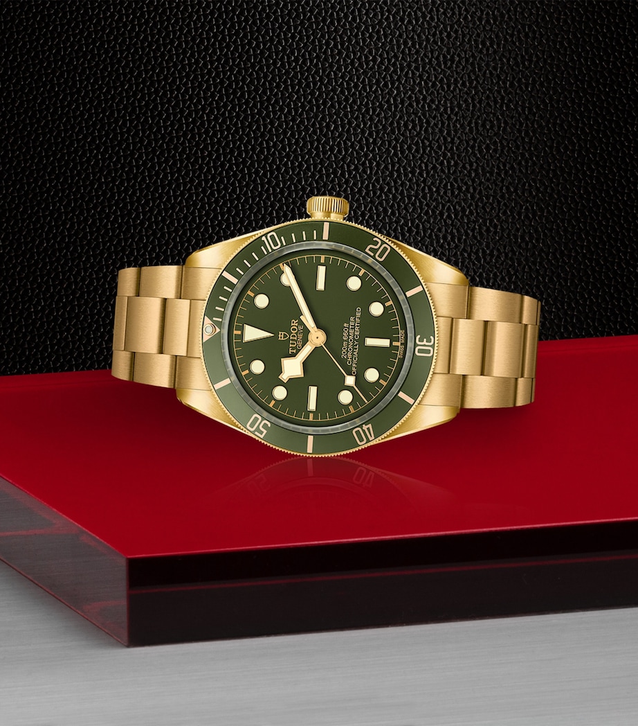Black Bay Yellow Gold Watch 39mm GREEN Image 2
