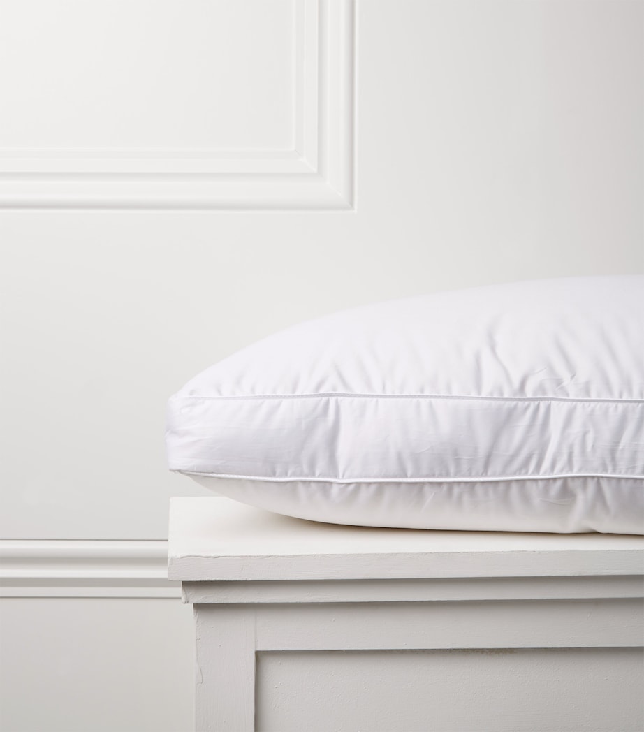 Soft Down Around Pillow (50cm x 75cm) WHITE Image 2