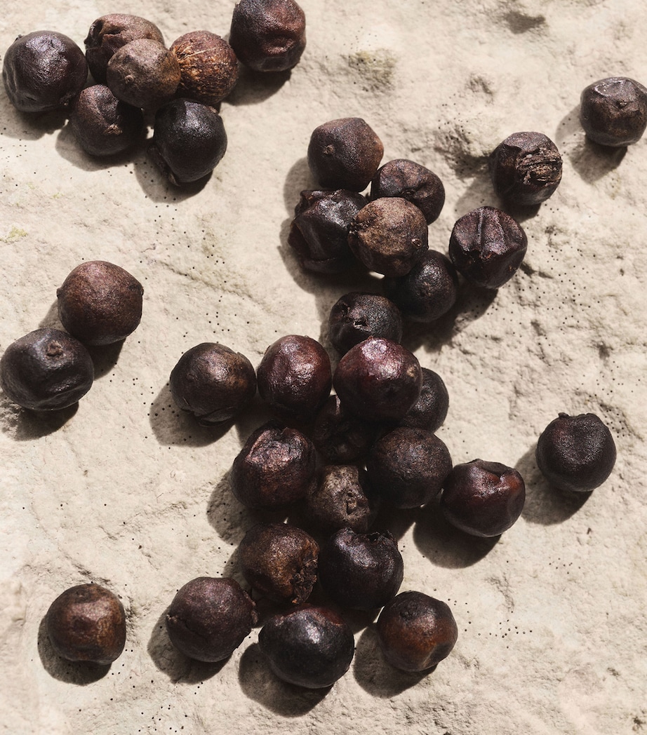 Light Blue Capri in Love Pour Homme Eau de Parfum (100ml) NO COLOUR Image 6