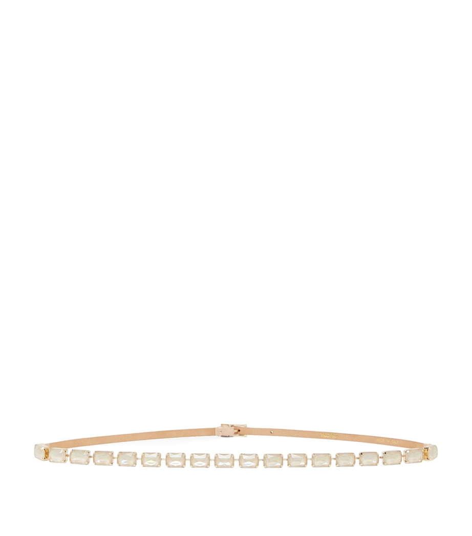 Max Mara Leather Embellished Belt Powder Image 1