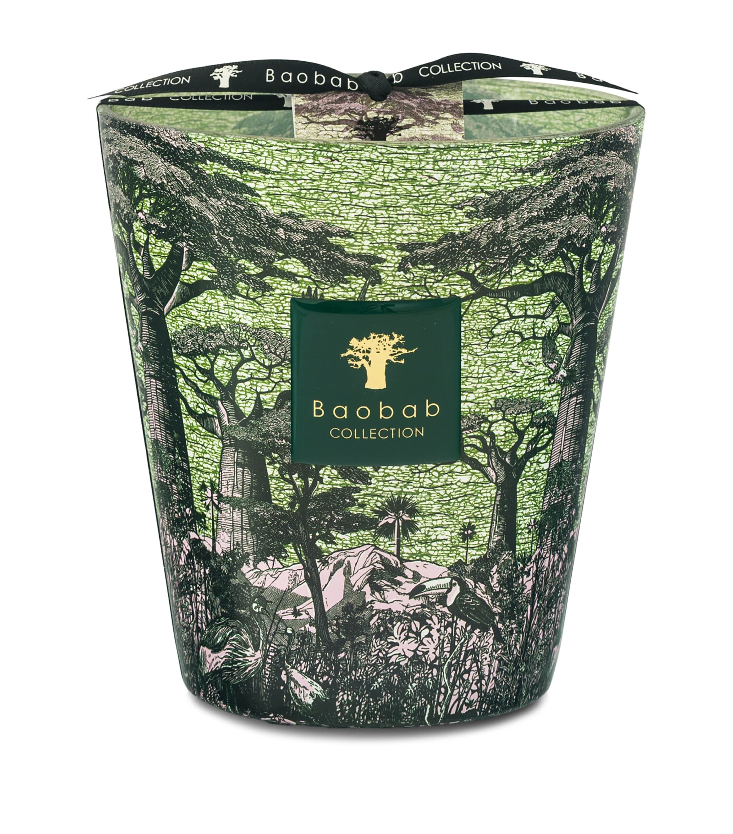 Baobab Collection Sacred Trees Touba Candle In Green