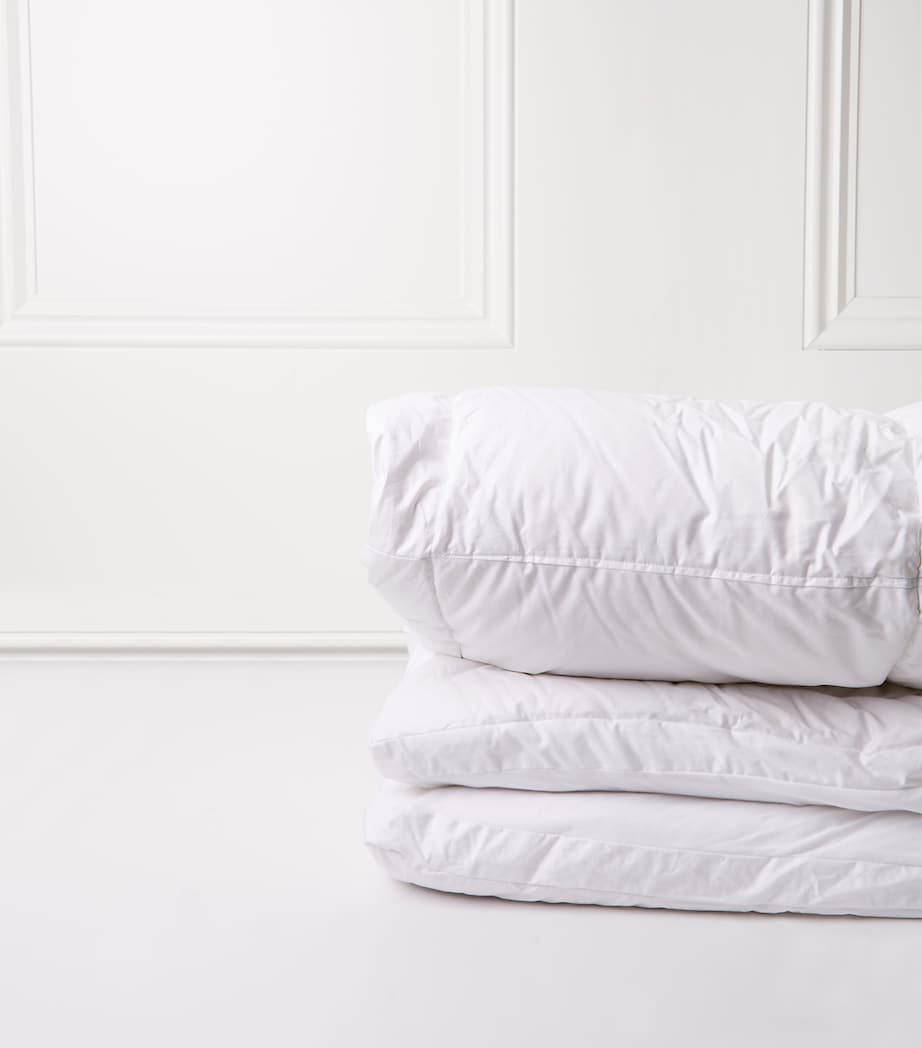 Brinkhaus Excellent Mazurian Goose Down Mattress Topper White Image 2