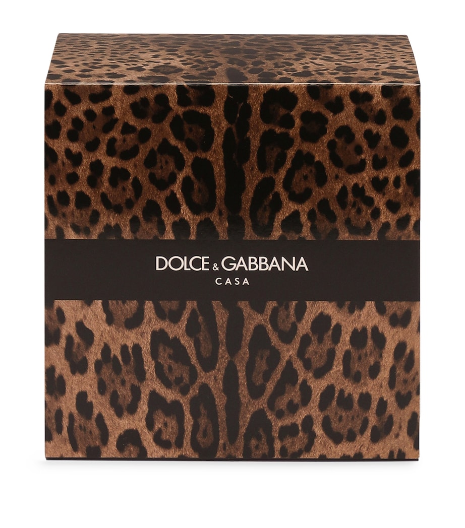 Dolce&Gabbana Casa Leopardo Patchouli Candle (380g) Patchouli Image 5
