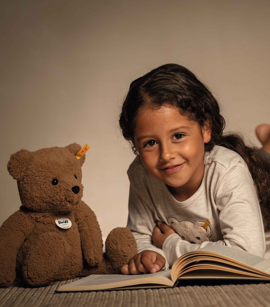 Papa Teddy Bear (36cm) MULTI Image 3