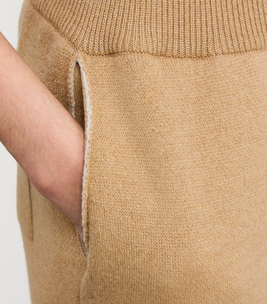 Cashmere-Blend Double-Faced Trousers Q25325 CAMEL/NATURAL Image 6