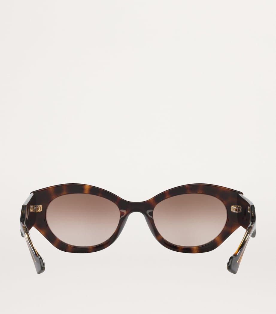 Injected Oval Sunglasses 4402D1 Image 4