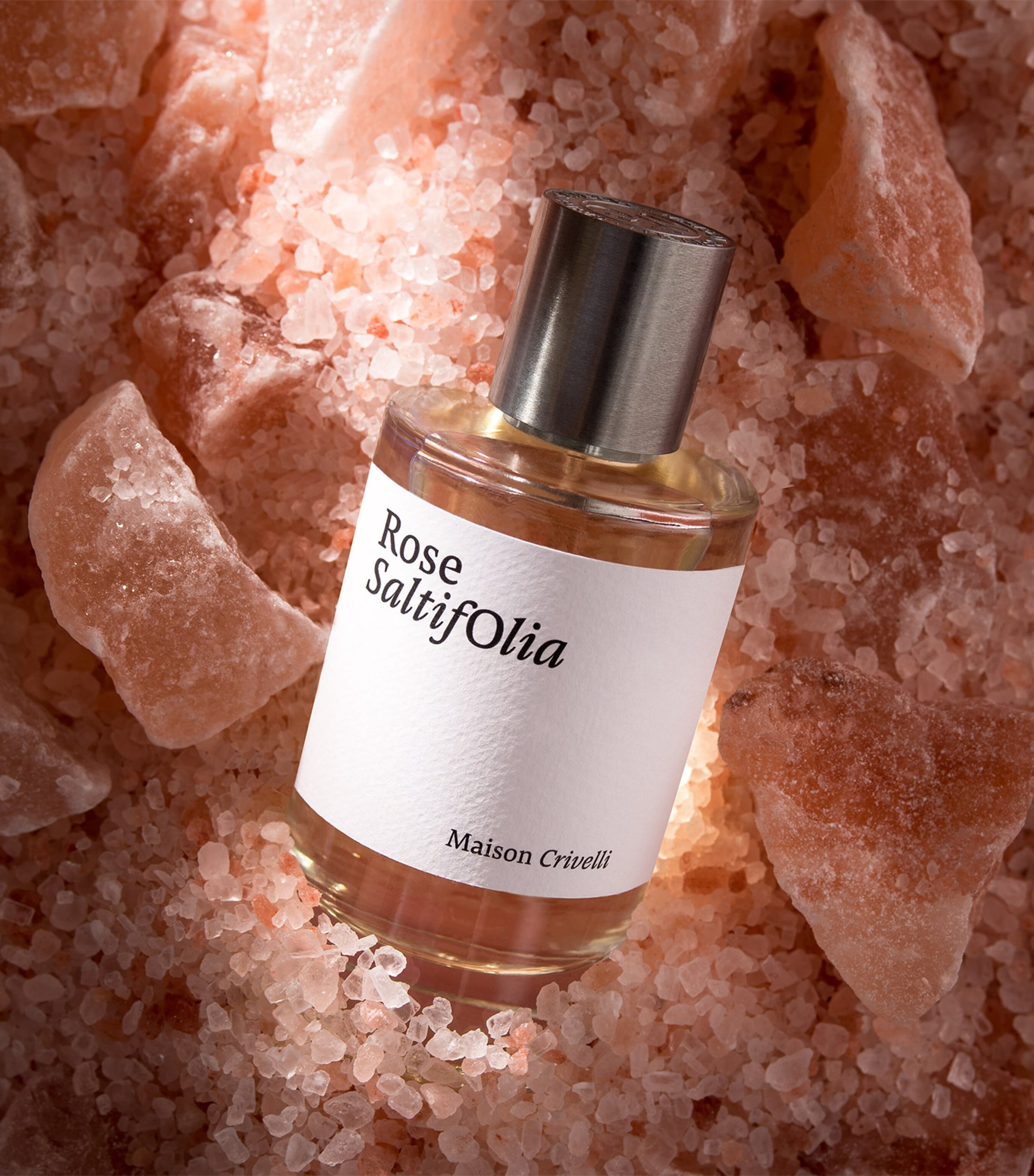 Rose Saltifolia Eau de Parfum (100ml) NO COLOUR Image 3