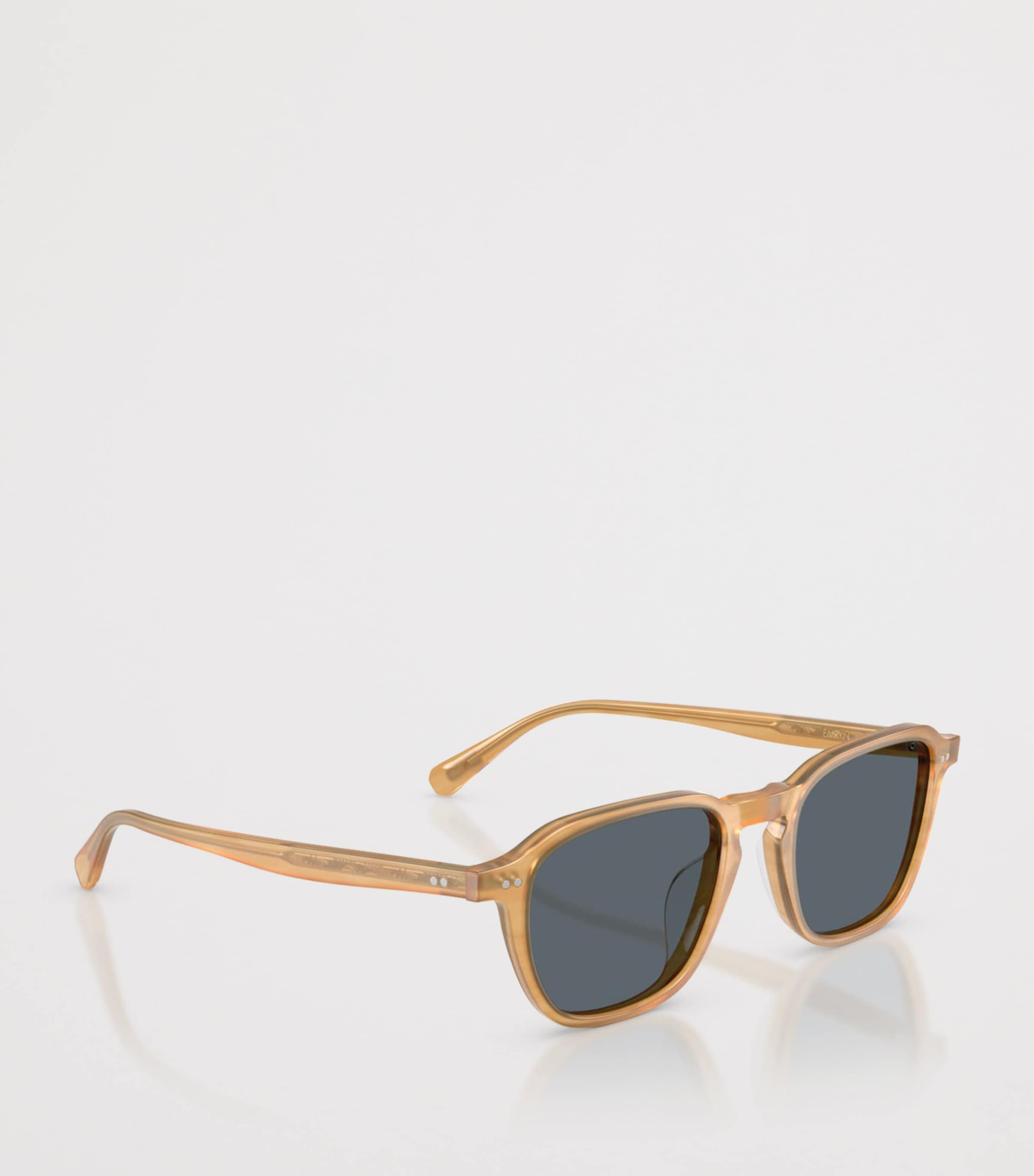 Oliver Peoples Acetate Emryn Sunglasses Image 6