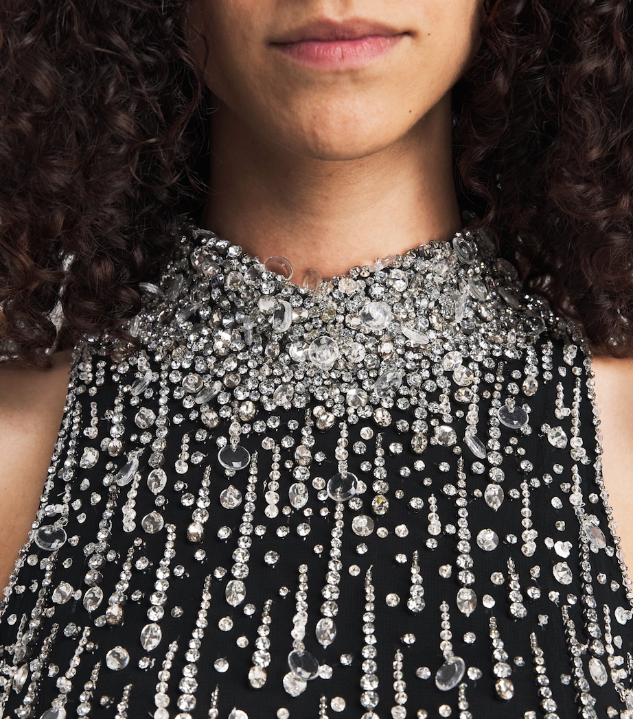 Jenny Packham Womens Embellished Santa Fe Maxi Dress Liquorice Image 5