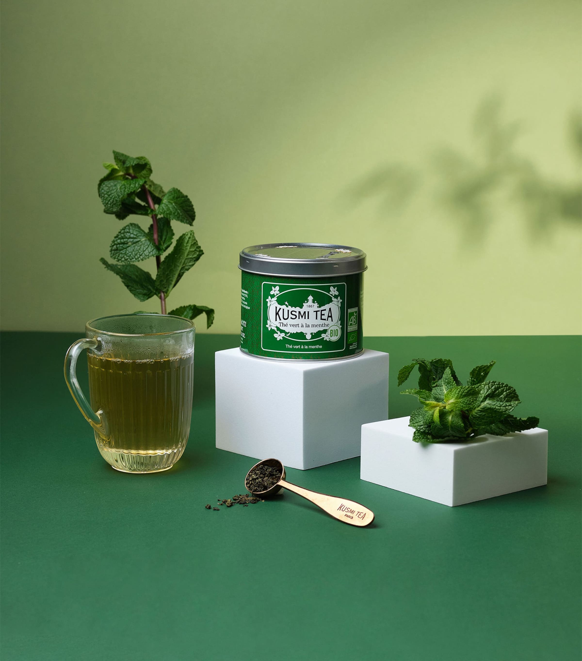 Spearmint Loose Leaf Green Tea (100g) NO COLOUR Image 2