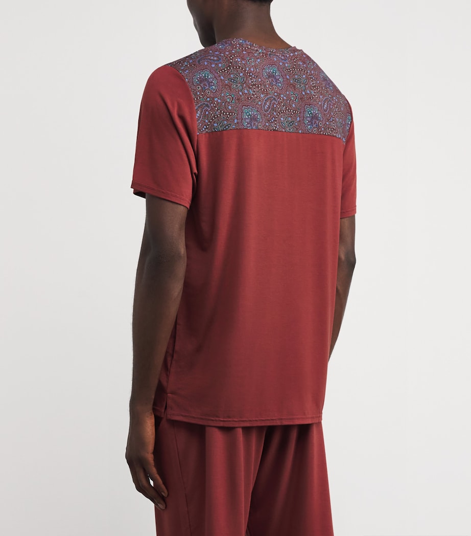 Paisley Trim T-Shirt CLAA-CLAY/ART STW RD Image 4