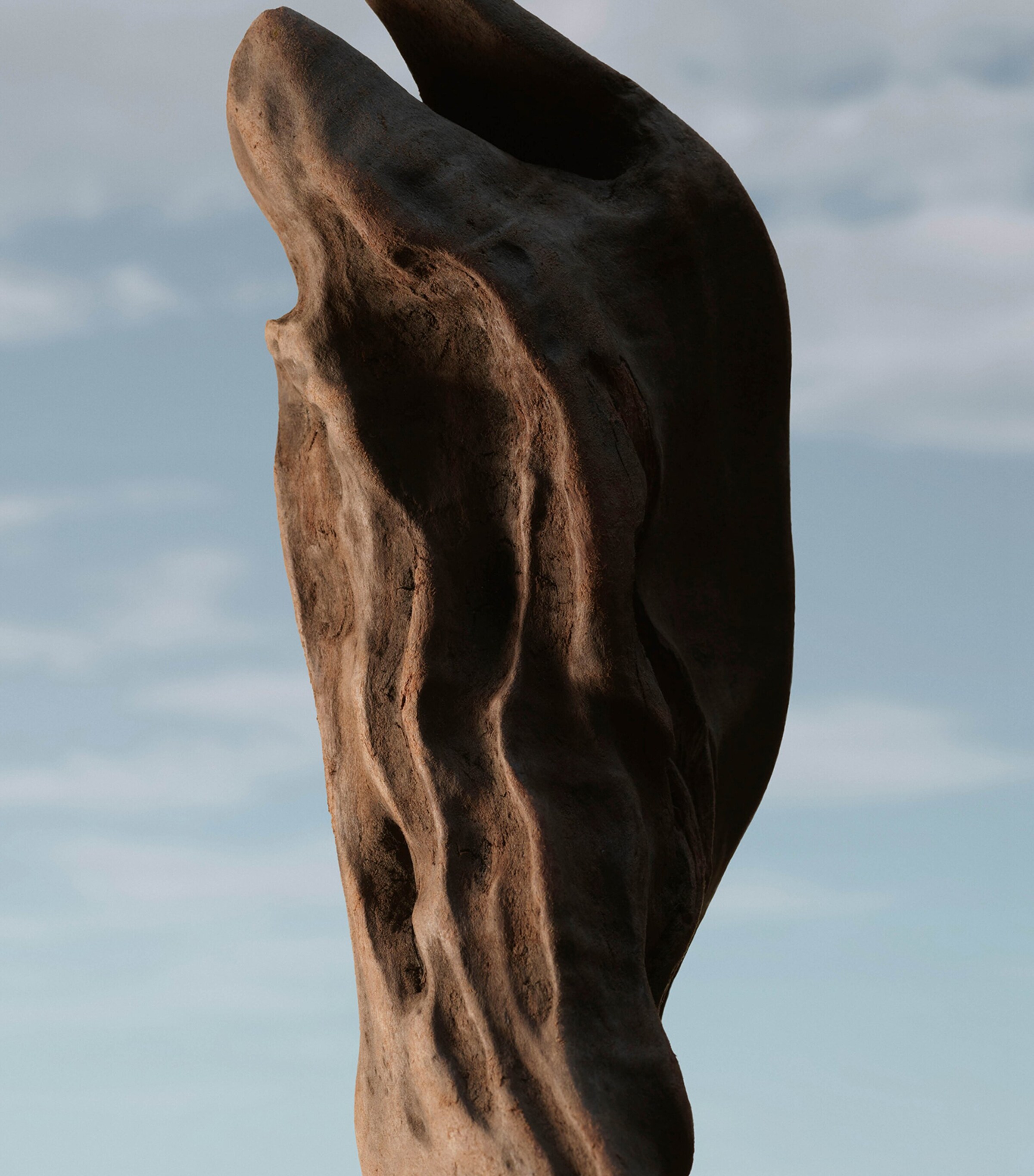 Extreme Botanicals Oud Storm Eau de Parfum (100ml) NO COLOUR Image 4