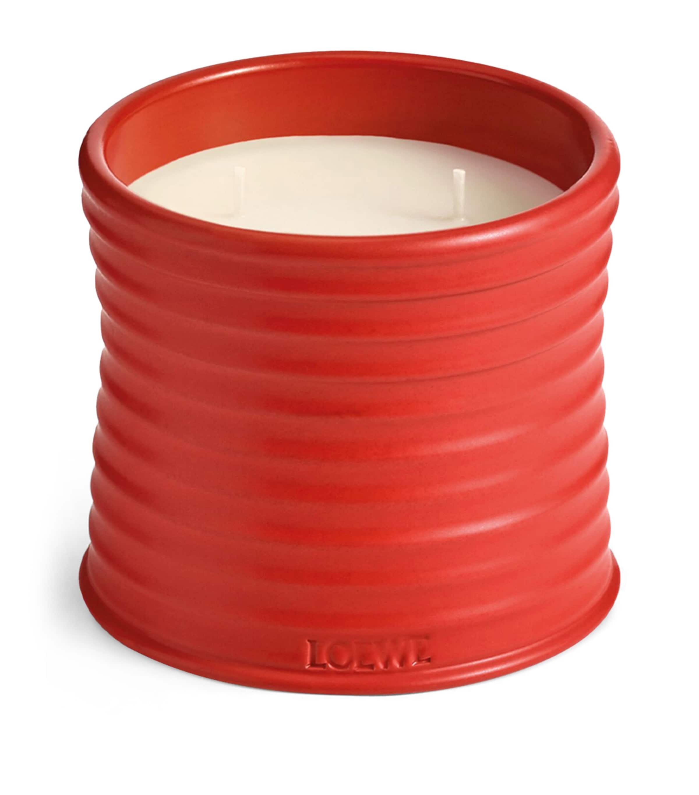 LOEWE Medium Tomato Leaves Candle (610g)