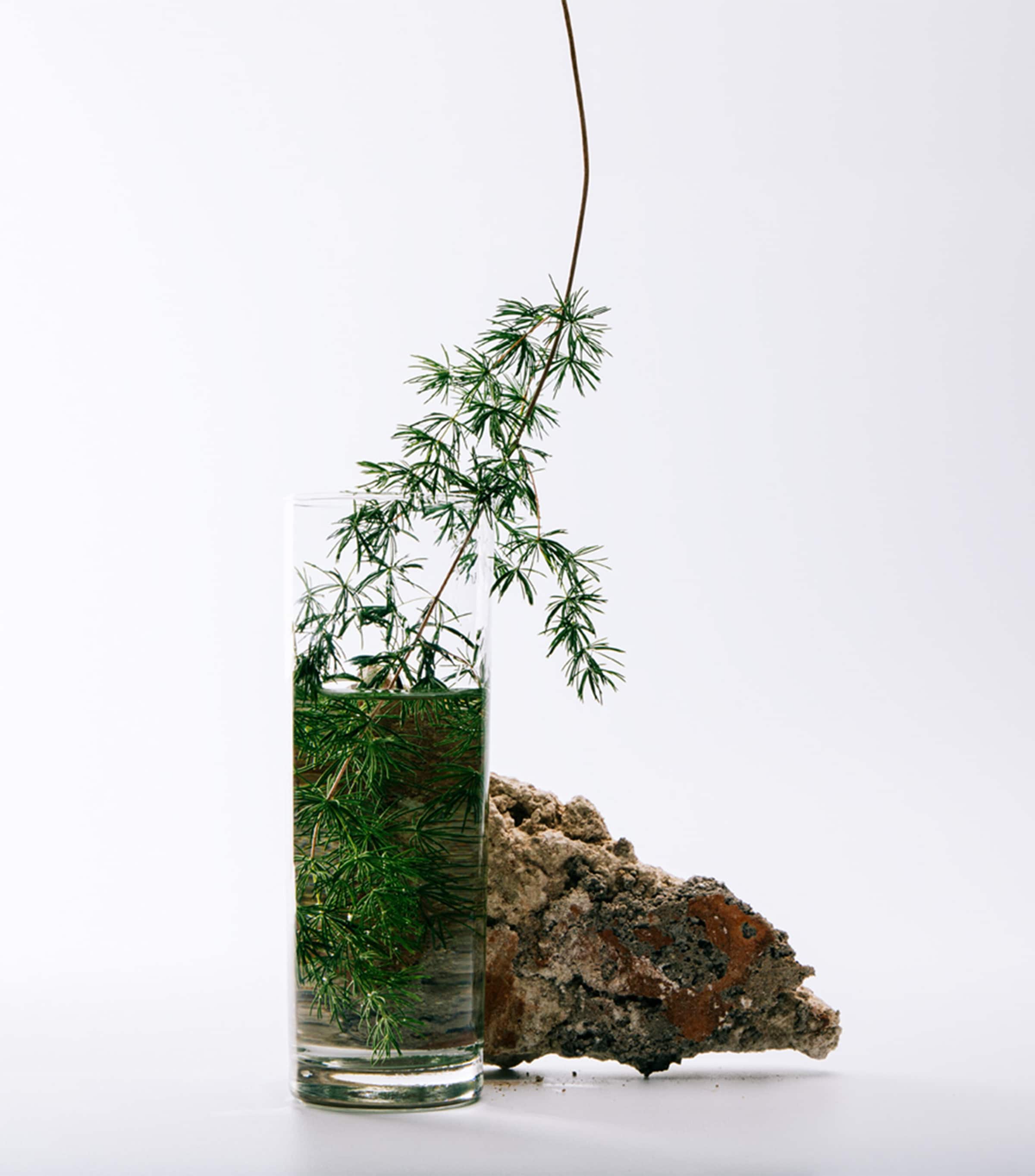 Solo Cedro Eau de Toilette (100ml) NO COLOUR Image 3