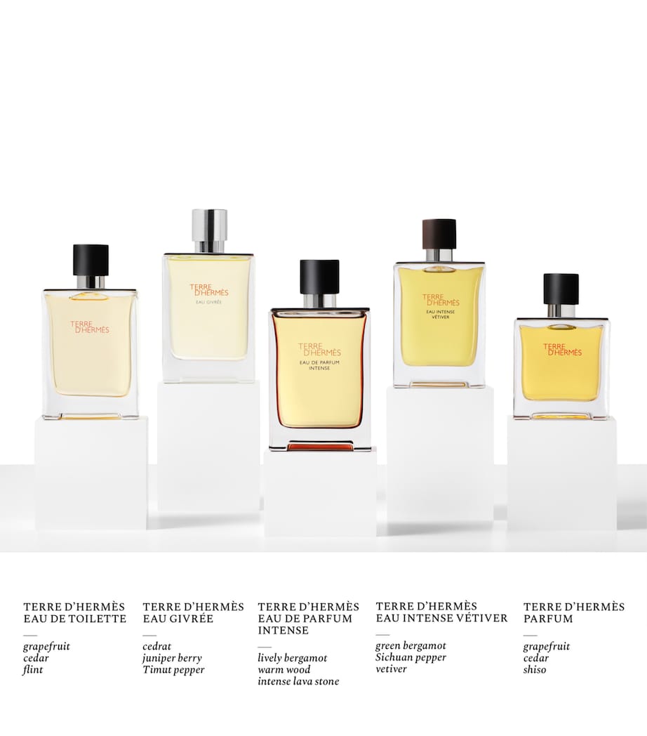 Terre d’Hermès Eau de Parfum Intense Refill (200ml) NO COLOUR Image 4