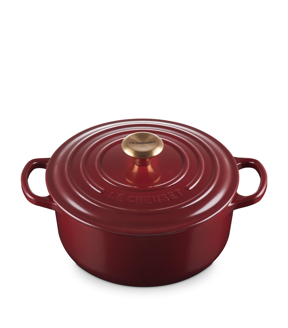 Cast Iron Round Casserole Dish (20cm) GARNET Image 1