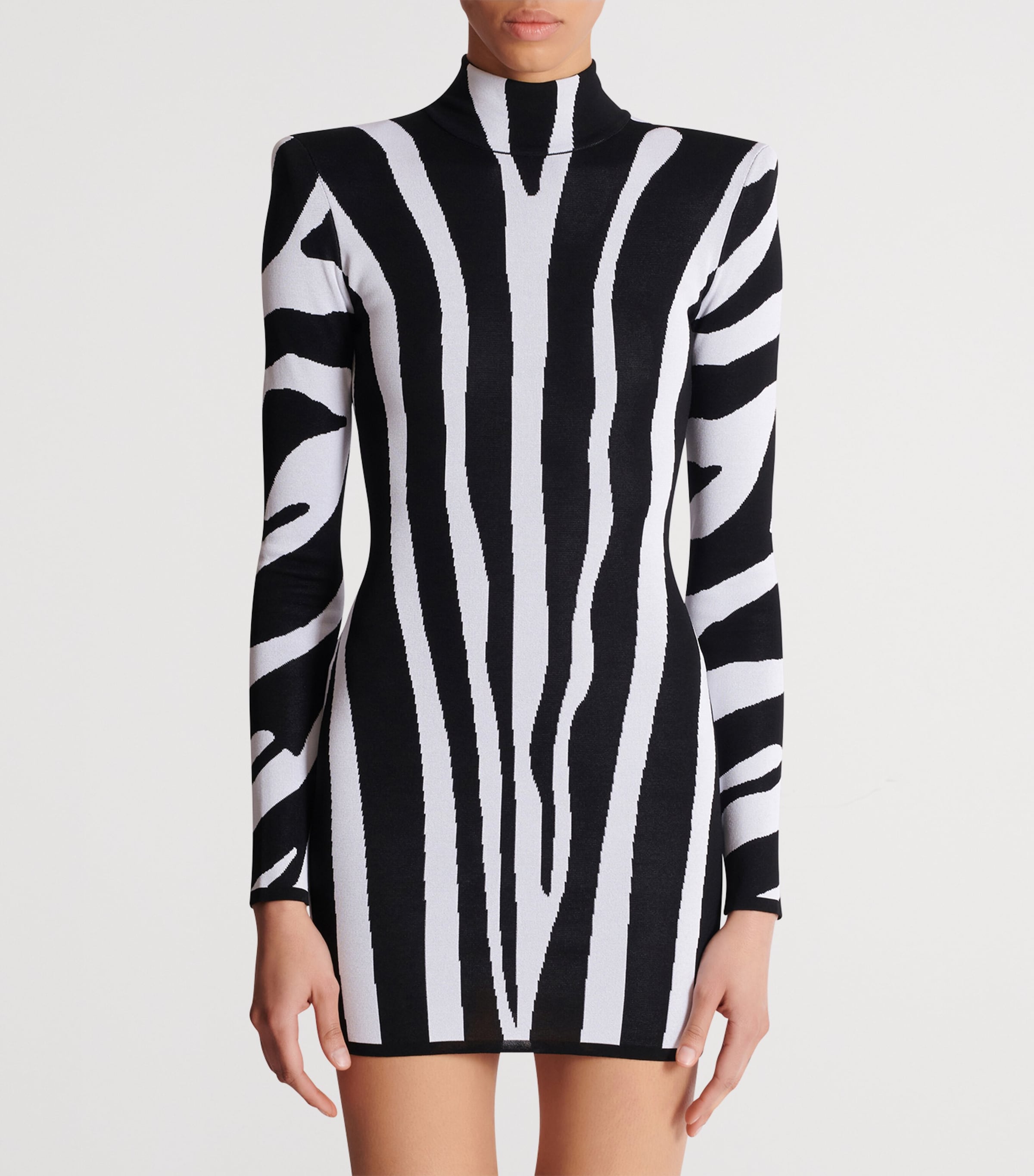 Knitted Zebra Mini Dress EAB NOIR/BLANC Image 7