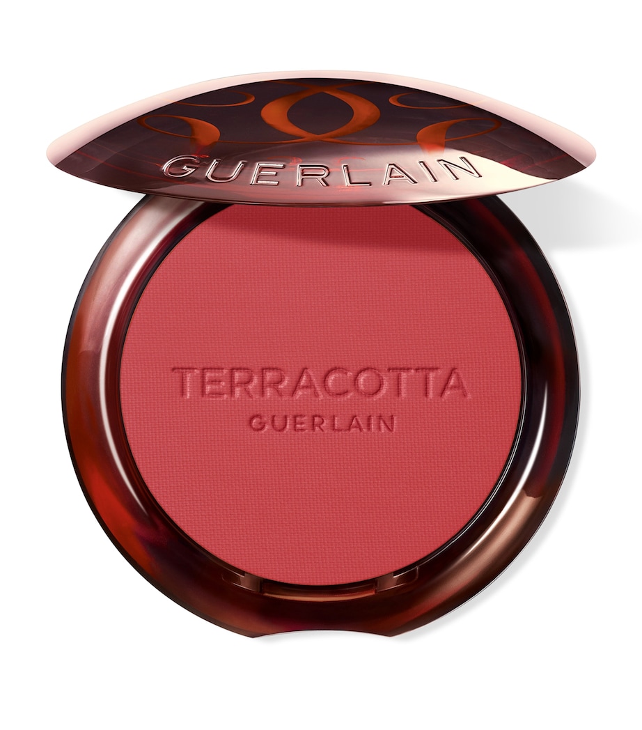 Guerlain Terracotta Blush Image 1