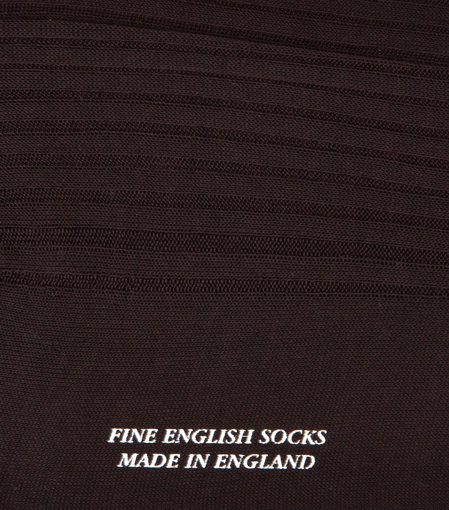 Egyptian Cotton Lisle Long Sock BROWN Image 2
