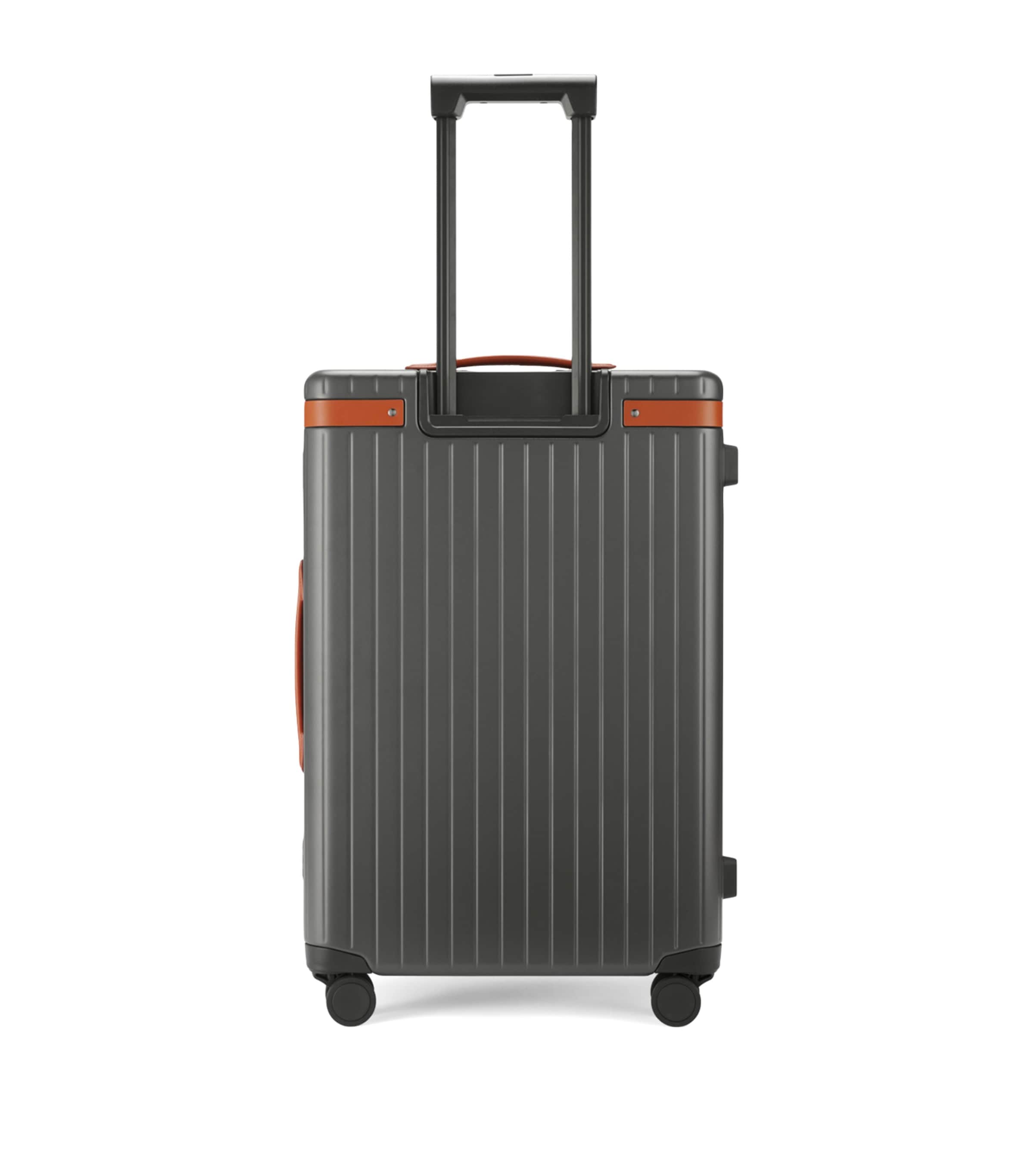 The Check-In Suitcase (65cm) COGNAC Image 5