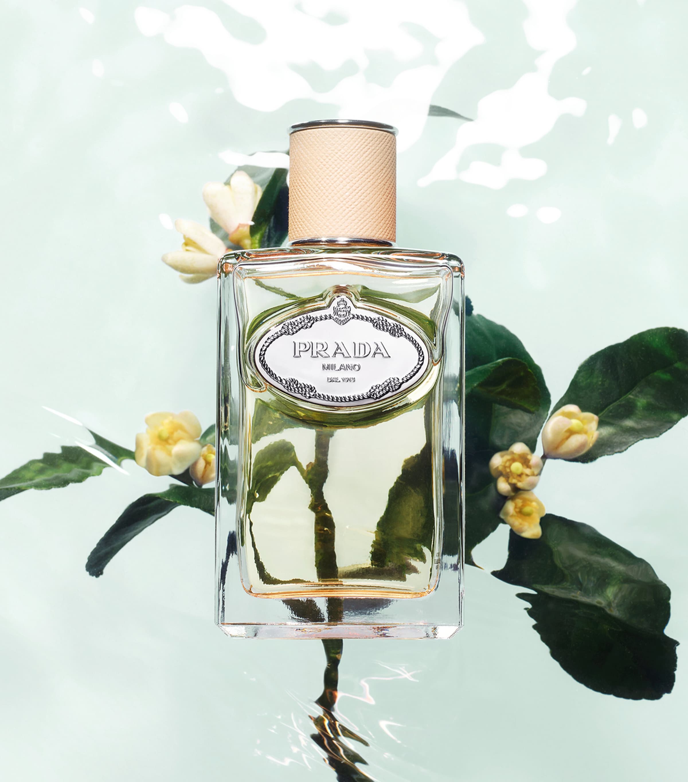 Infusion d'Oranger Eau de Parfum NO COLOUR Image 4