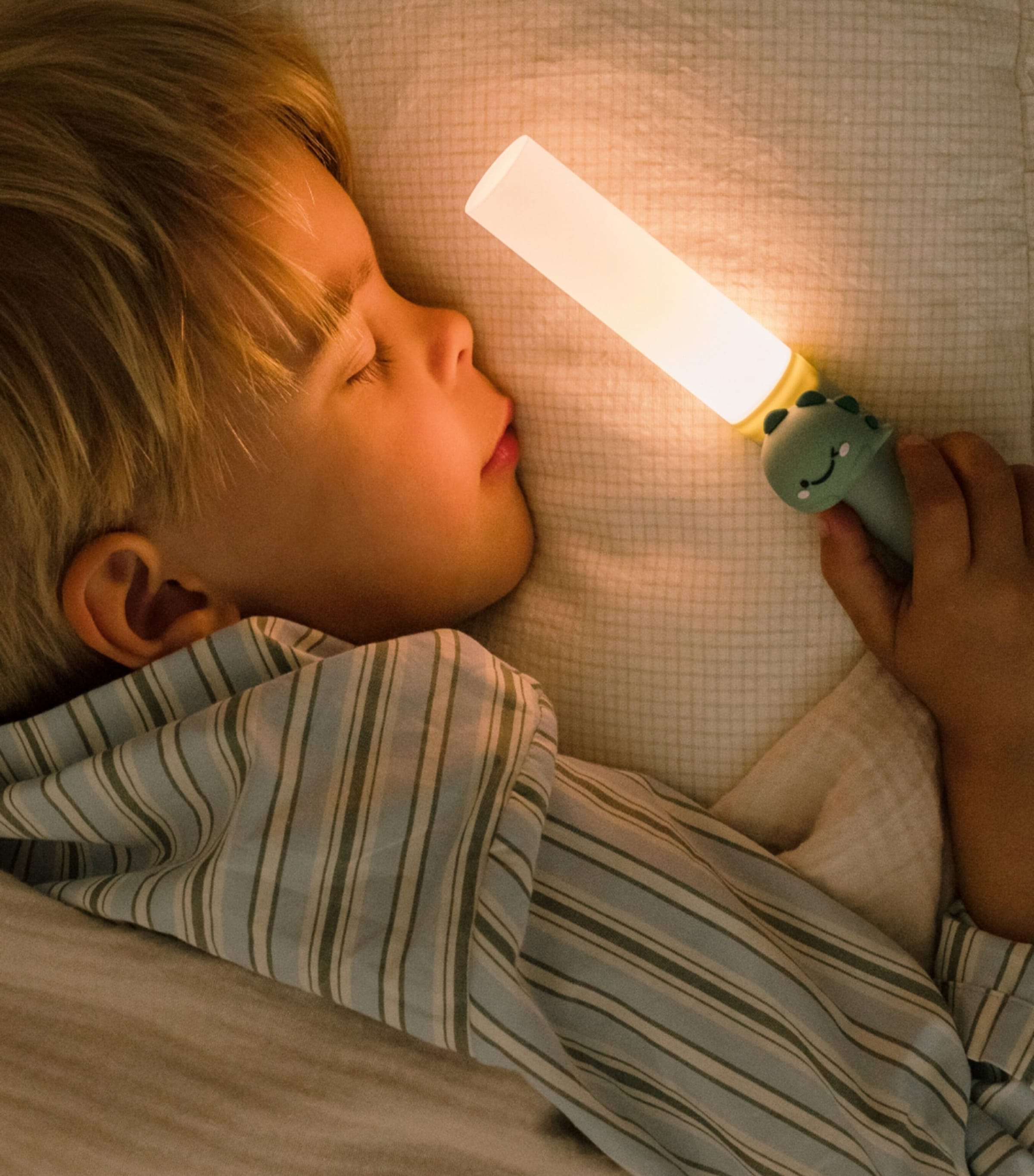 Zoo Light Dino MULTI Image 14