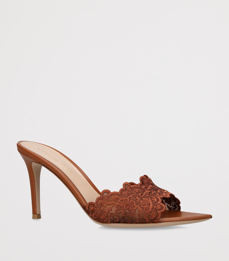 Gianvito Rossi Lace Yvonne Mules 85 Brown Image 2