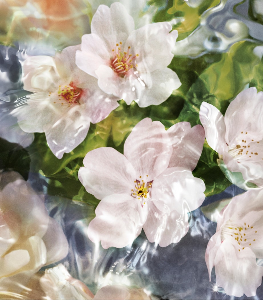 Aqua Allegoria Flora Cherrysia Eau de Toilette (75ml) NO COLOUR Image 5