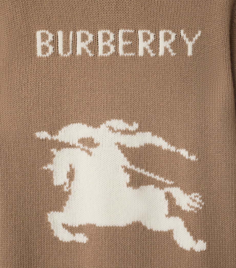 Wool-Cashmere Logo Sweater CAMEL Image 4