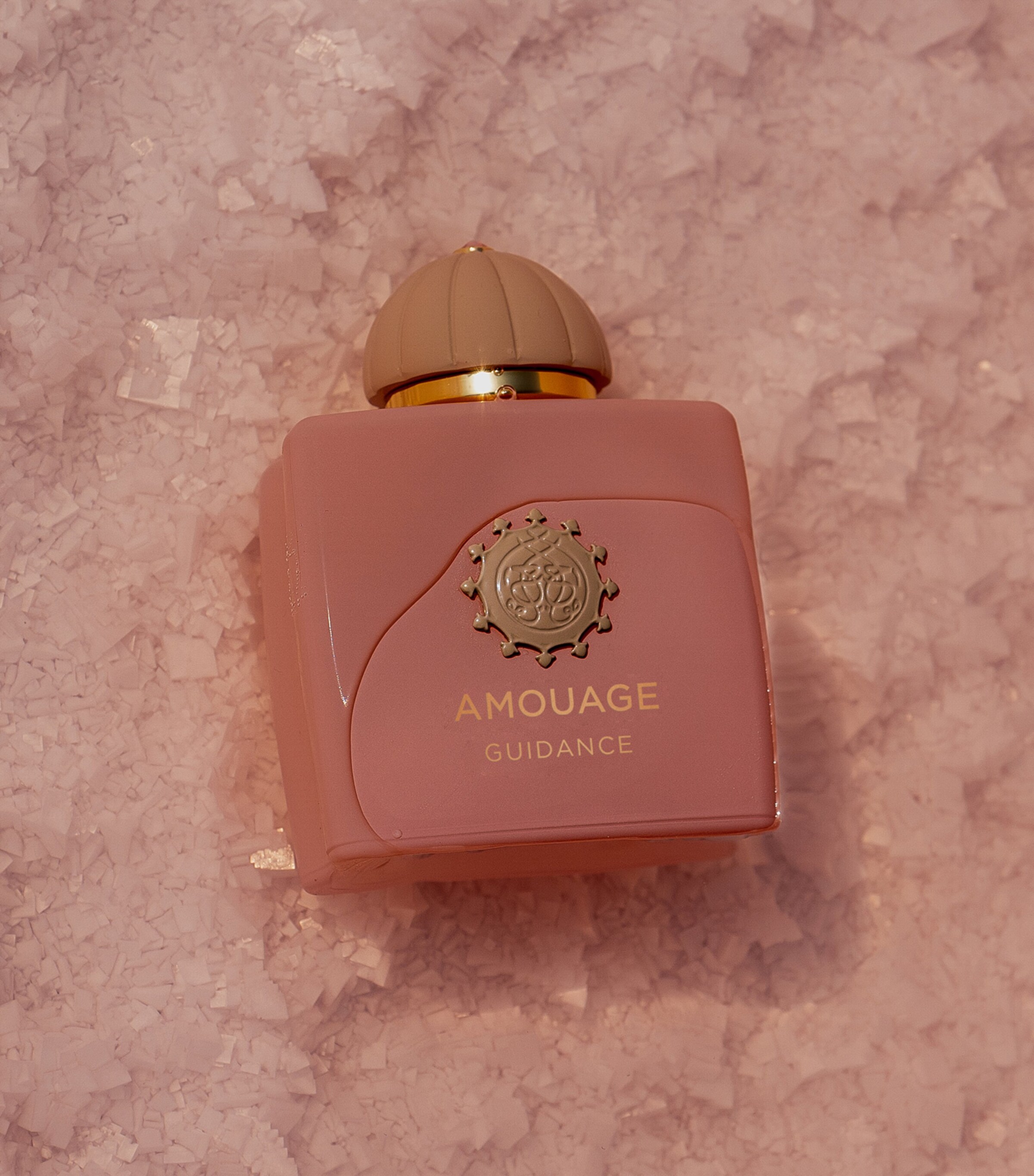 Amouage Guidance Eau de Parfum Fragrance Gift Set (100ml) Image 2