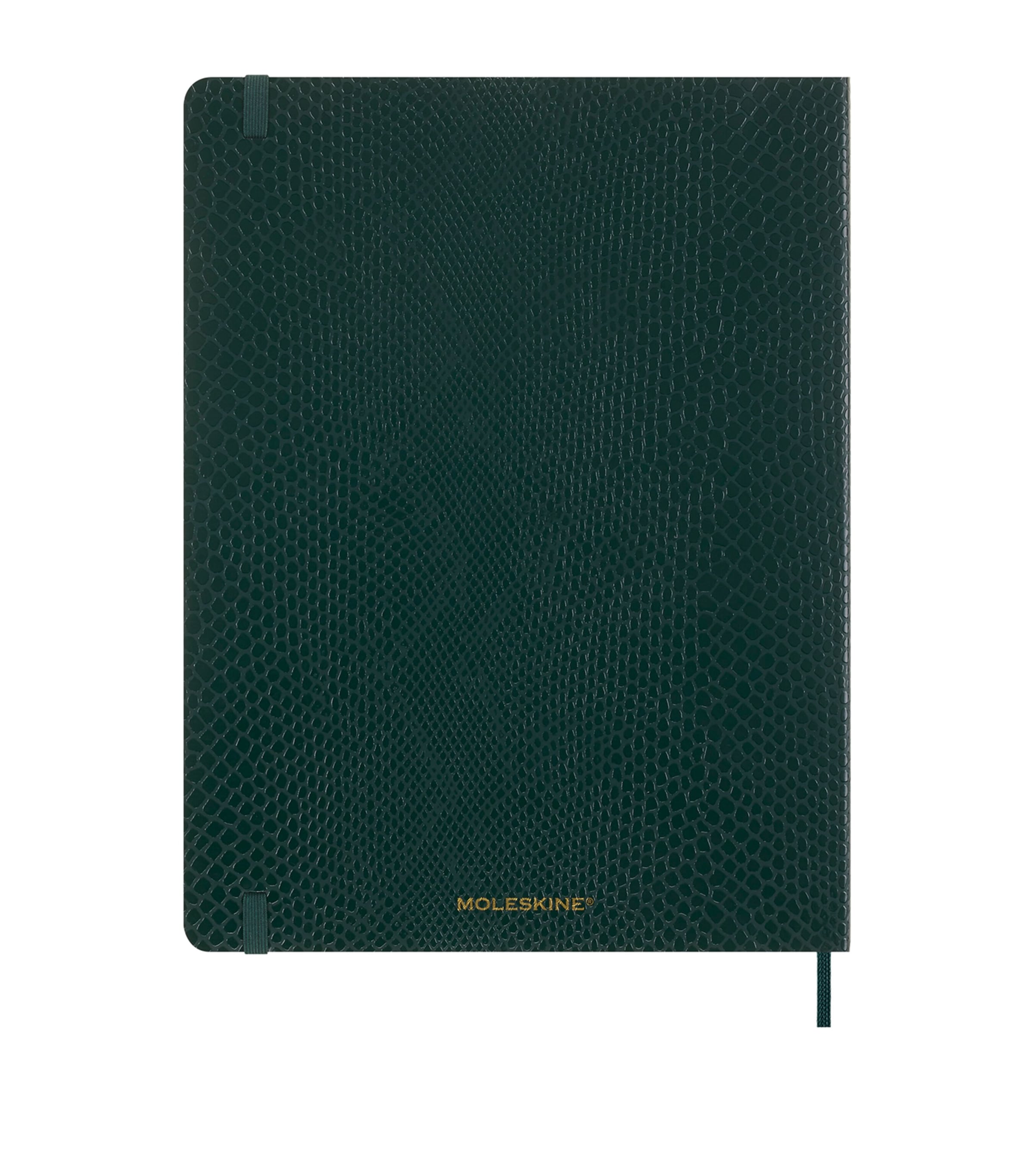 Large Precious & Ethical Vegan Notebook GREEN Image 5