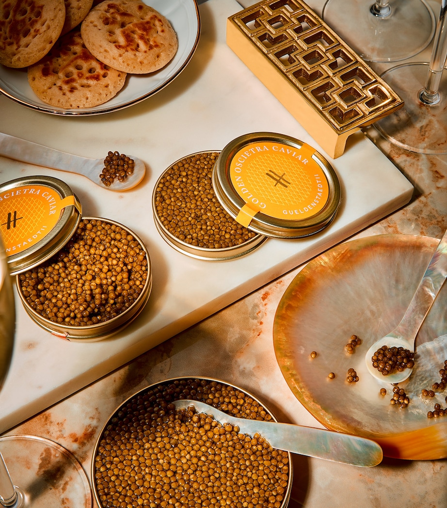 Golden Oscietra Caviar (125g) NO COLOUR Image 2