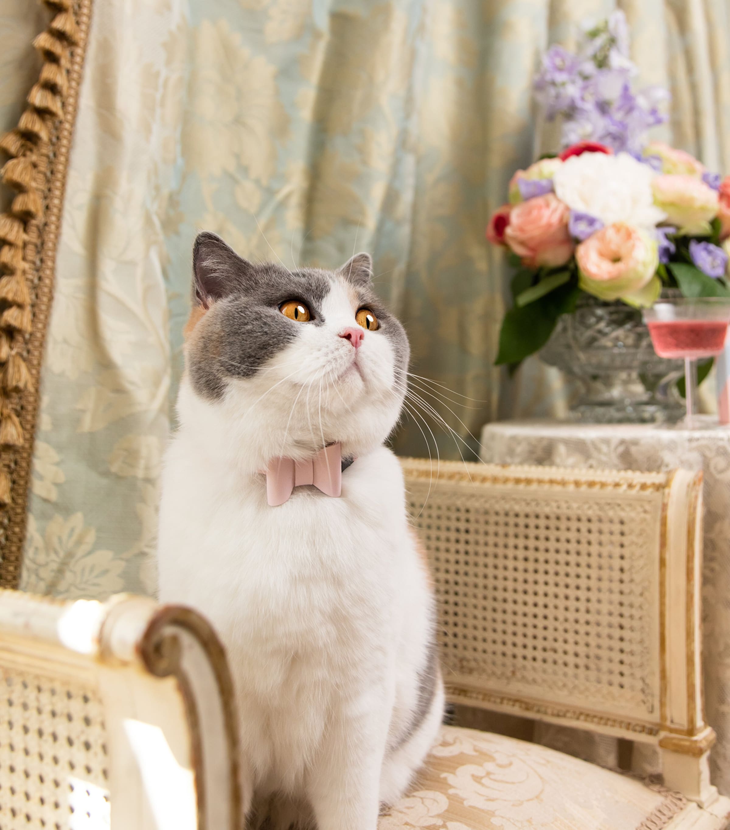 Medium Rococo Cat Collar With Bow PINK Image 3