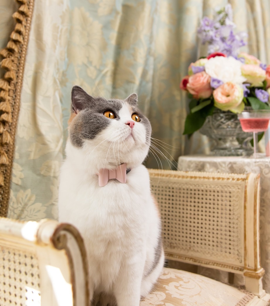 Medium Rococo Cat Collar With Bow PINK Image 3