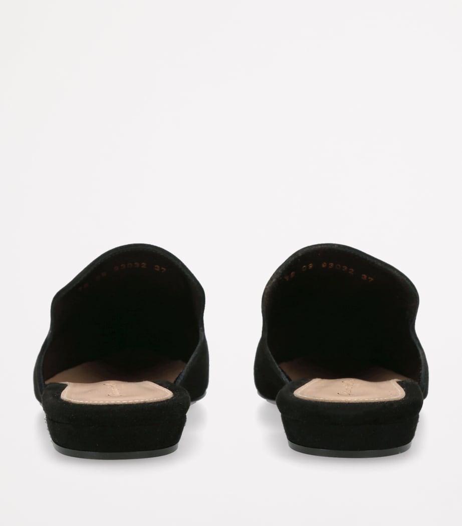 Gianvito Rossi Suede Raja Slides Black Image 2
