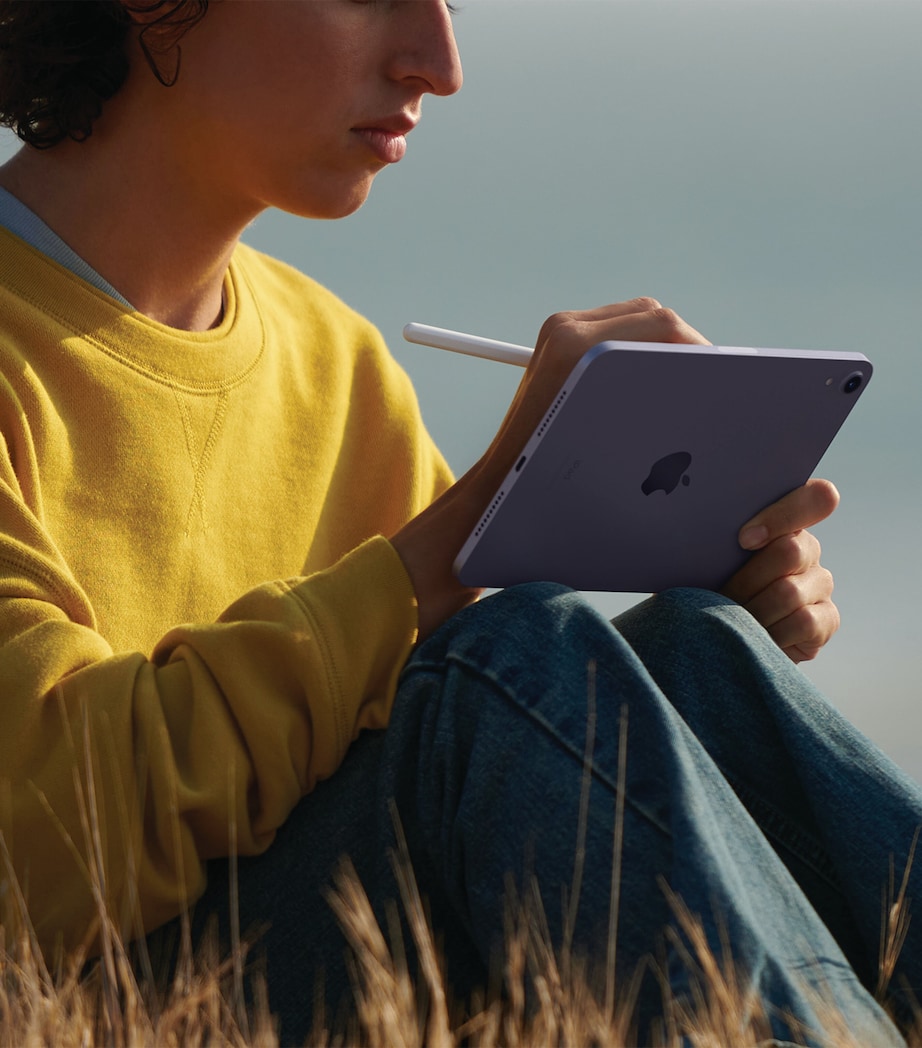 iPad Mini 8.3" Wi-Fi 256GB - Pink PINK Image 6